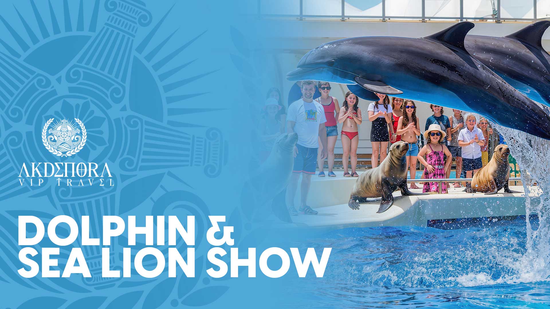 DOLPHIN & SEA LION SHOW